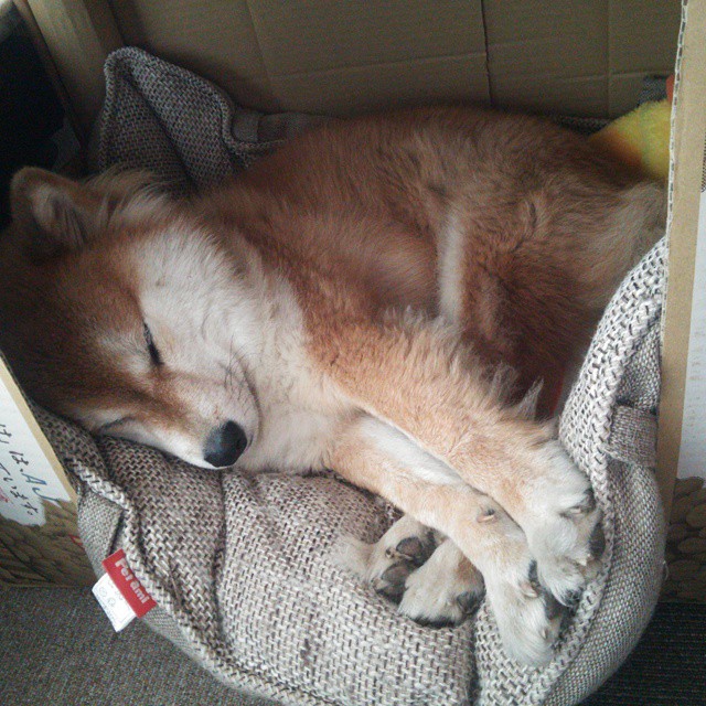 热带闪电 vs 红军铁壁，基米希在年度跨洲焦点战中接管赛场