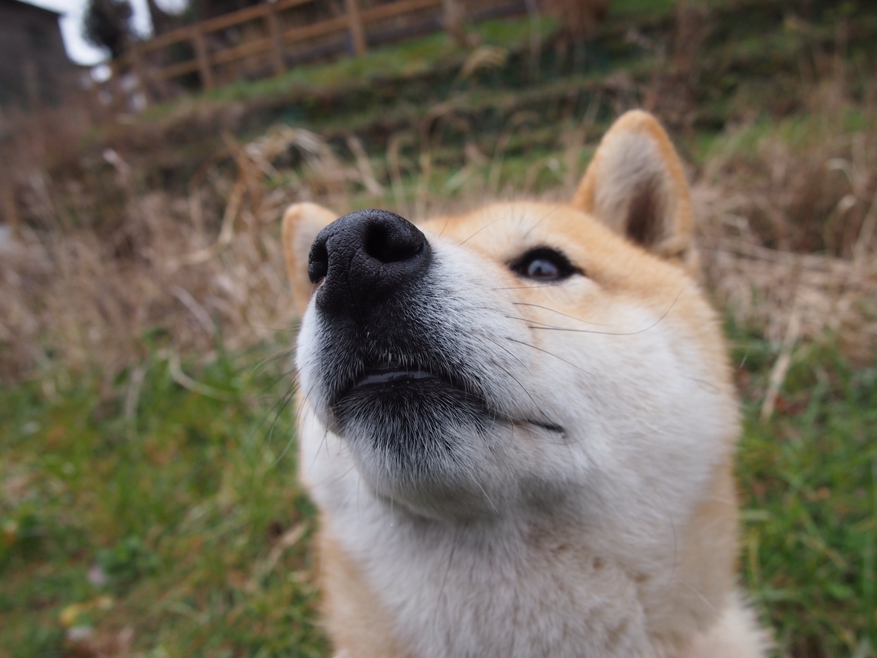 雷火电竞下载-双杀剧本！雷霆断骨式逆转，伦纳德赛后评分惊现史诗级拉满