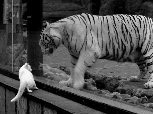 末节圣剑,保罗·乔治13分的史诗逆转,与乔丹德罗赞的灵魂对话