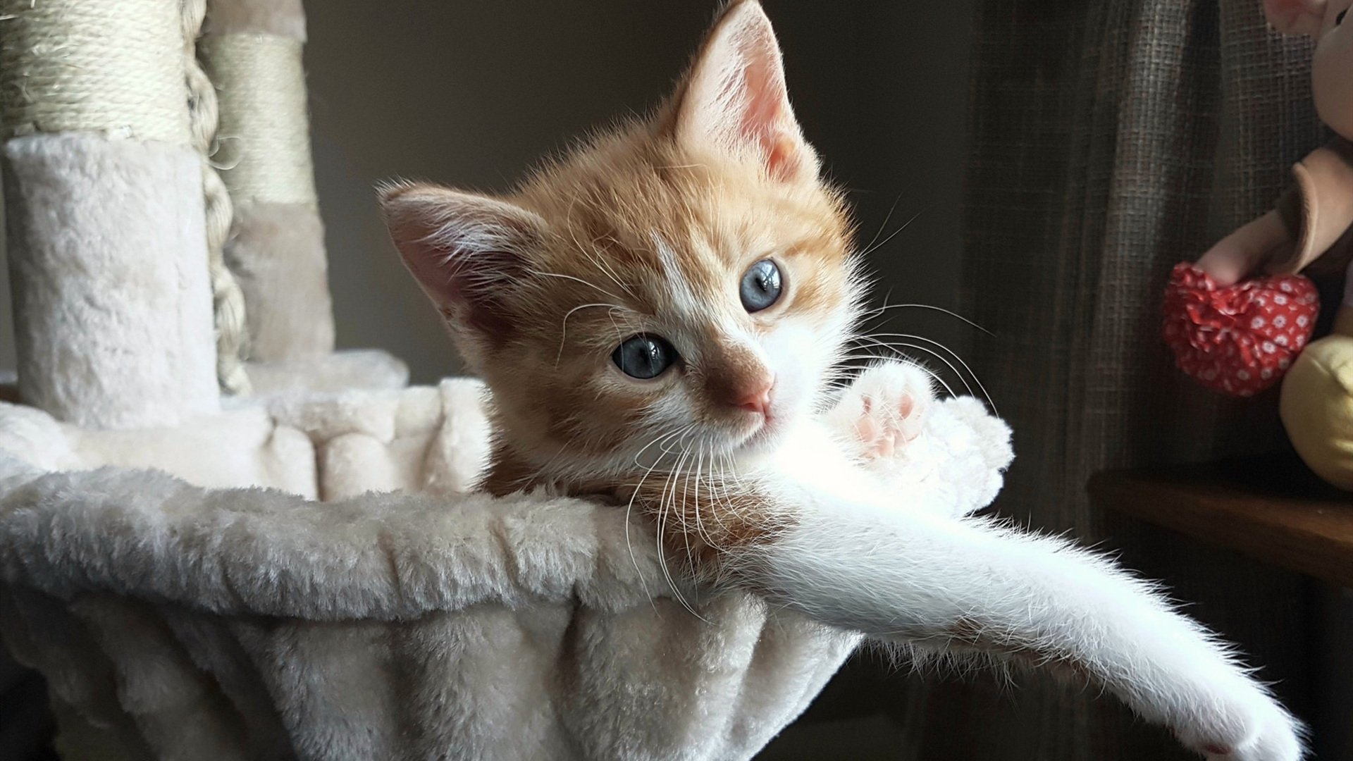 雷火电竞充值-逆转之刃，当卡塔尔黑马碾过德国战车，西决赛场的足球幽灵卡拉斯科正在降临