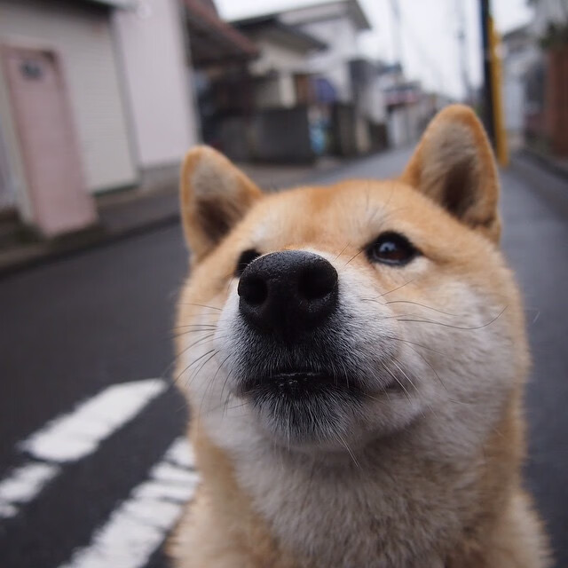 边界上的舞者，克瓦拉茨赫利亚如何用足球撕裂所有地图