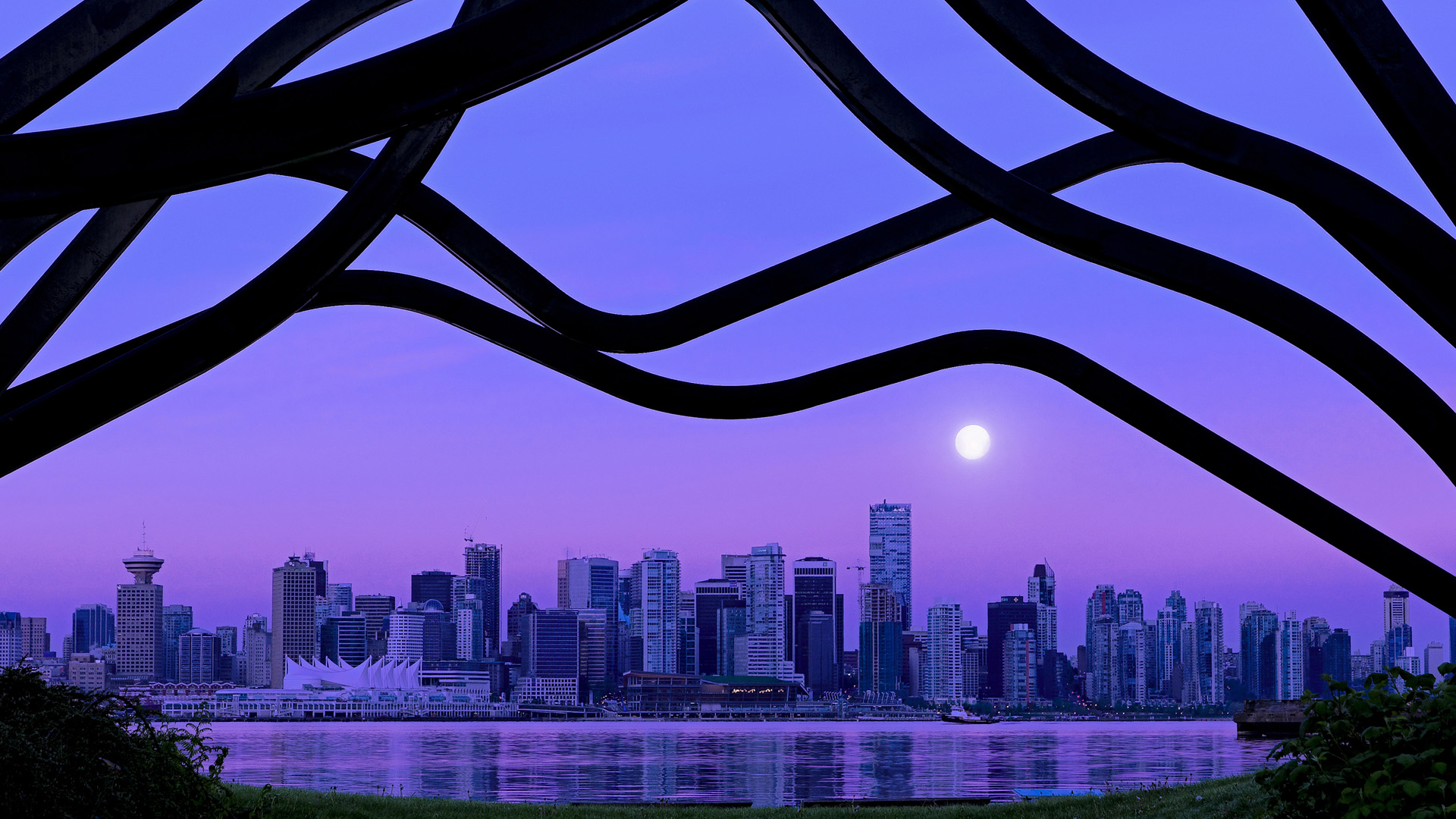 末节19分！武切维奇化身冰原巨兽，猛龙撕裂东北虎