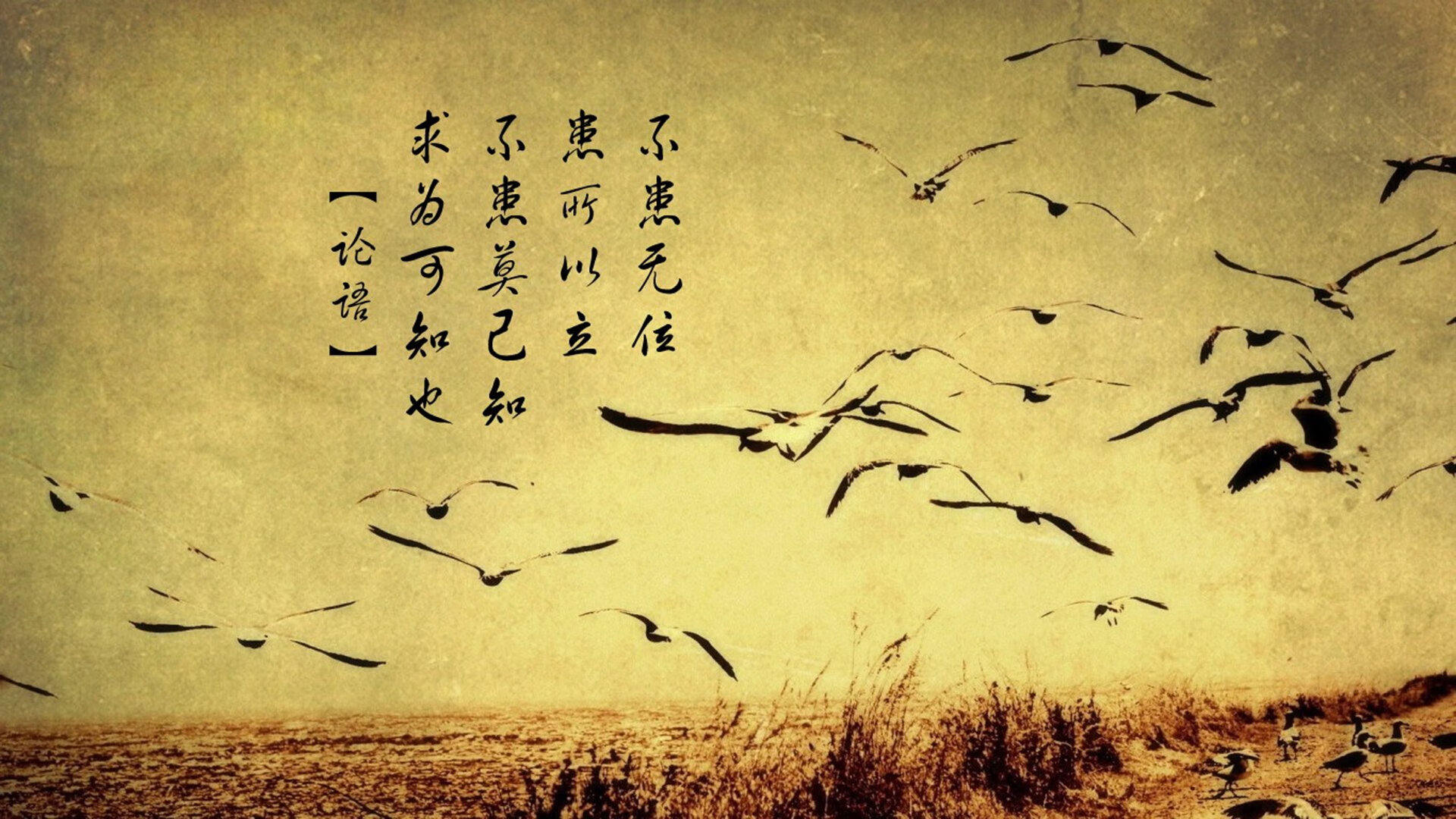 雷火电竞合作-中场变速，楚阿梅尼在摩纳哥之夜的重生